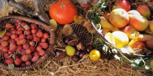 Beitragsbild des Blogbeitrags Zusammenfassung Blogevent Herbstgenuss