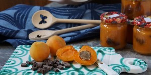 Beitragsbild des Blogbeitrags Marillen-Schokolade-Marmelade 