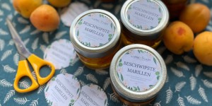 Beitragsbild des Blogbeitrags Beschwipste Marillen (Marillen einlegen) 