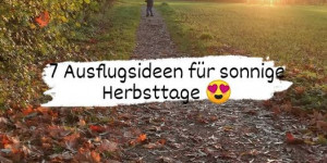 Beitragsbild des Blogbeitrags 7 Ausflugsideen für den Herbst rund um Linz