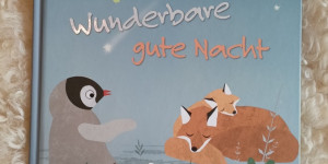 Beitragsbild des Blogbeitrags Buchrezension: „Wunderbare gute Nacht“