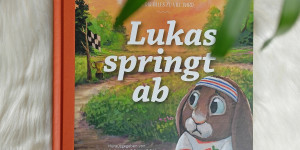 Beitragsbild des Blogbeitrags Buchrezension: Lukas springt ab – Wenn dir alles zuviel wird 