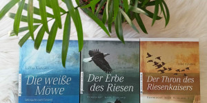 Beitragsbild des Blogbeitrags Fantasy-Buchtipp: Saga „Sehnsucht nach Rinland“