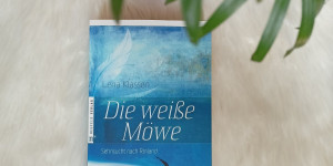 Beitragsbild des Blogbeitrags Fantasy-Buchrezension: Die weiße Möwe – Sehnsucht nach Rinland