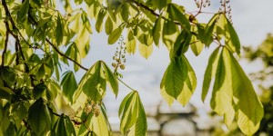 Beitragsbild des Blogbeitrags Kurzgeschichte: Wer kehrt?
