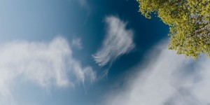 Beitragsbild des Blogbeitrags Kurzgeschichte: Belvedere