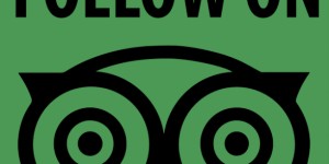Beitragsbild des Blogbeitrags Studie – Bewertungen auf TripAdvisor wichtig für die Reisebranche
