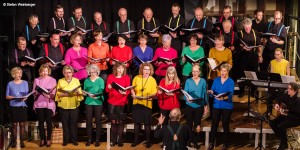 Beitragsbild des Blogbeitrags Sonderveranstaltung Landestheater Linz 2019: LEONFELDNER KANTOREI – STRICTLY FOR THE BIRDS