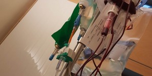 Beitragsbild des Blogbeitrags Angst beginnt im Kopf, Mut auch!