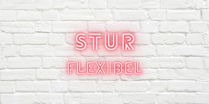 Beitragsbild des Blogbeitrags Am Freitag ist zu