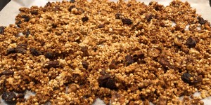 Beitragsbild des Blogbeitrags Walnuss-Goji Granola 