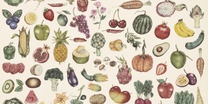 Beitragsbild des Blogbeitrags Saisonkalender für Obst & Gemüse (Österreich) 