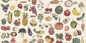 Beitragsbild des Blogbeitrags Saisonkalender für Obst & Gemüse (Österreich)
