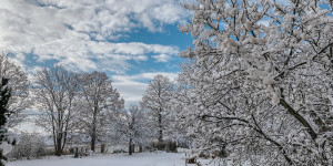 Beitragsbild des Blogbeitrags 24 Dinge, die man im Advent zuhause machen kann (+ Gewinnspiel)