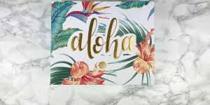 Beitragsbild des Blogbeitrags Glossybox – Juli 2020 | Aloha-Edition