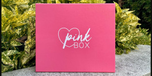 Beitragsbild des Blogbeitrags Pinkbox – Januar 2023 