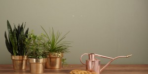 Beitragsbild des Blogbeitrags Geld anlegen 2019. Was tun mit 50.000 EUR?