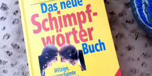 Beitragsbild des Blogbeitrags Kinder und Schimpfwörter? Ja – aber bitte richtig!