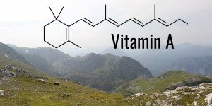 Beitragsbild des Blogbeitrags Vitamin A 