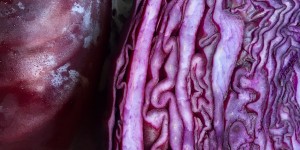 Beitragsbild des Blogbeitrags Ein Gemüsestar des Herbstes – das Rotkraut