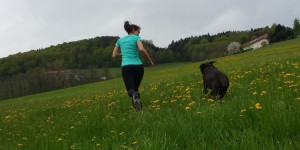 Beitragsbild des Blogbeitrags Ausdauersport – zu mehr Fitness mit der optimalen Sporternährung