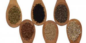 Beitragsbild des Blogbeitrags Seed Cycling