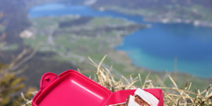 Beitragsbild des Blogbeitrags Selbstgemachte Fruchtschnitten