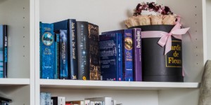 Beitragsbild des Blogbeitrags SUB Sunday – Mein Lesejahr 2017