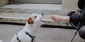 Beitragsbild des Blogbeitrags SUB Sunday: Die glorreichsten Pärchen