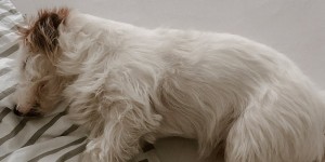 Beitragsbild des Blogbeitrags Weekly Notes – Ich bin keine Ärztin