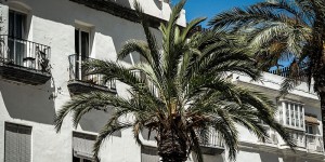 Beitragsbild des Blogbeitrags Travel to Andalusien: Hot Spots