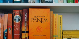 Beitragsbild des Blogbeitrags SUB Sunday – Die besten Buchverfilmungen