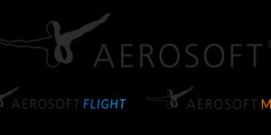 Beitragsbild des Blogbeitrags Publisher Aerosoft stellt sich mit neuer Branded House Strategy für die Zukunft auf 