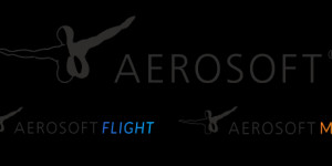 Beitragsbild des Blogbeitrags Publisher Aerosoft stellt sich mit neuer Branded House Strategy für die Zukunft auf