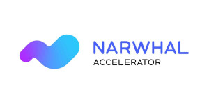 Beitragsbild des Blogbeitrags Einführung des Narwal Accelerators: Bis zu 100.000 Dollar für die Game-Changer der nächsten Generation 
