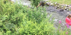 Beitragsbild des Blogbeitrags Mountain Beach – Gaschurn