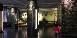 Beitragsbild des Blogbeitrags Vorarlberger Museumswelt – Frastanz 