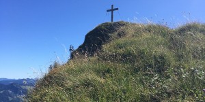 Beitragsbild des Blogbeitrags Winterstaude