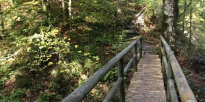Beitragsbild des Blogbeitrags Lausbubenweg in Langenegg