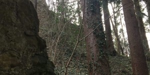 Beitragsbild des Blogbeitrags Ruine Althofen – Lochau
