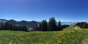 Beitragsbild des Blogbeitrags Von Furx auf den Alpwegkopf