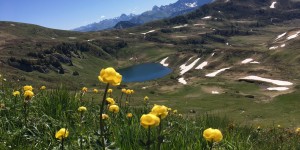 Beitragsbild des Blogbeitrags Sünser See – Sünser Joch – Blauer See – Portlahorn