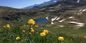 Beitragsbild des Blogbeitrags Sünser See – Sünser Joch – Blauer See – Portlahorn 