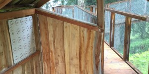 Beitragsbild des Blogbeitrags Tierweltenweg – Brand
