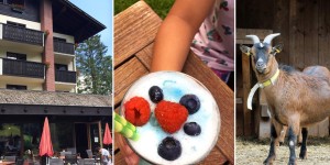 Beitragsbild des Blogbeitrags Jux, Spaß und Tollerei – Familienurlaub im Hotel Lagant