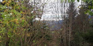 Beitragsbild des Blogbeitrags Vom Bödele nach Watzenegg