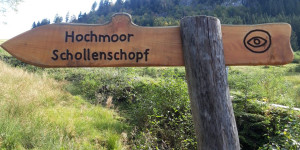 Beitragsbild des Blogbeitrags Hochmoor – Schollenschopf, Hohenems – Schuttanen 