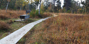 Beitragsbild des Blogbeitrags Wildrosenmoor – Sulzberg