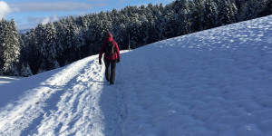Beitragsbild des Blogbeitrags Winterwandern: Alberschwende – Fischbach