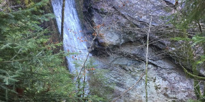 Beitragsbild des Blogbeitrags Bildstein Waldlehrpfad mit Rundgang